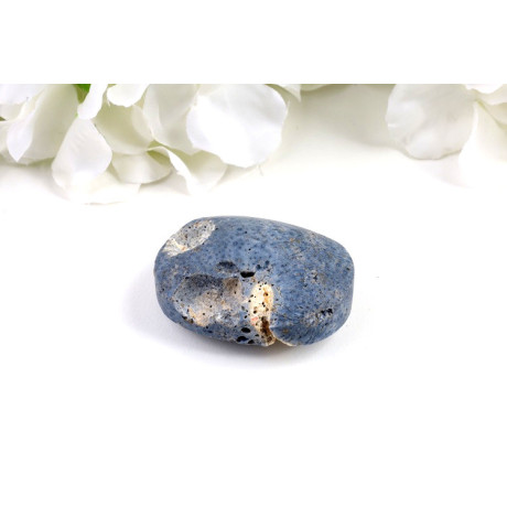 Modrý korál hmatka 51x37 mm | Pacifik | Minerály