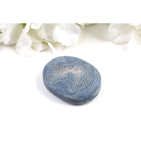 Modrý Korál Hmatka 56x43 mm - Blue Coral - Levné Minerály