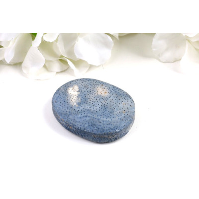 Modrý Korál Hmatka 56x43 mm - Blue Coral - Levné Minerály