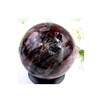 Zkamenělé dřevo koule