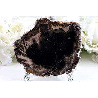 Zkamenělé dřevo plátky